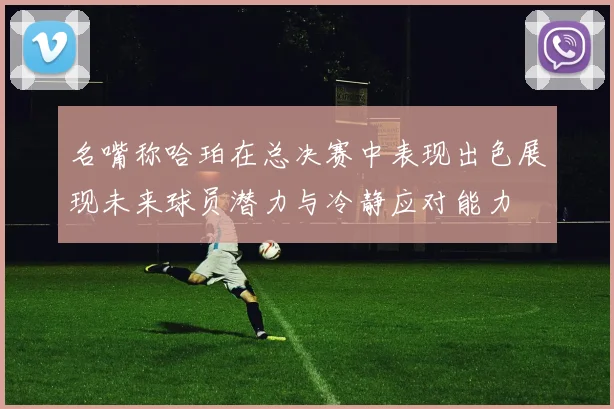名嘴称哈珀在总决赛中表现出色展现未来球员潜力与冷静应对能力